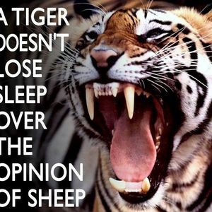 Meet your Posher, Donald